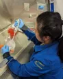 transplant stem cell immunobiology
